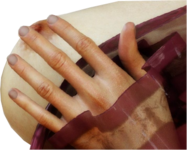 1187.png